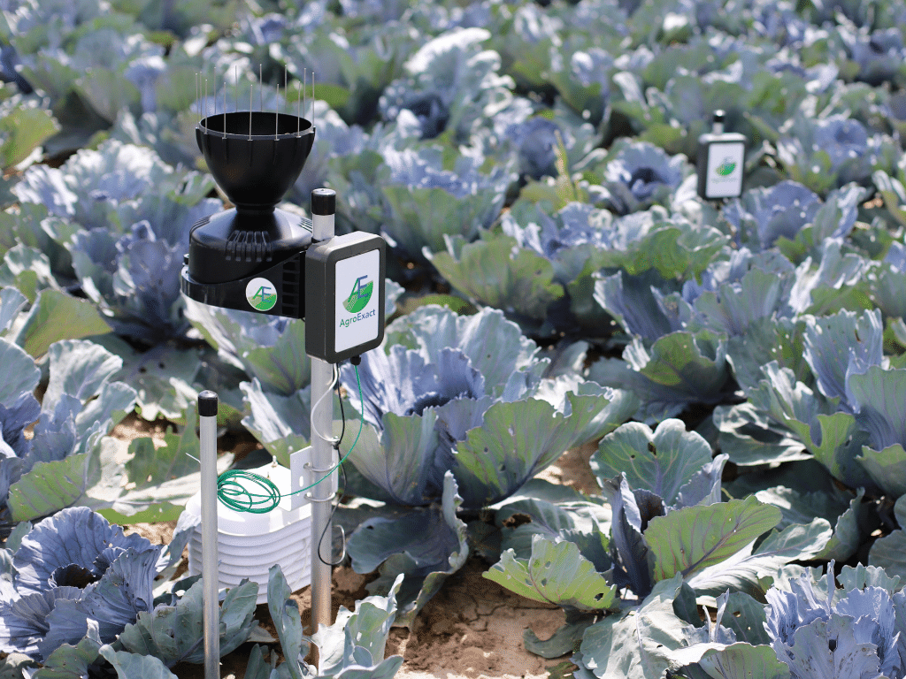 CropExact